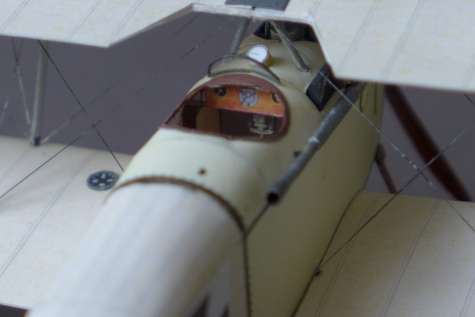 Halberstadt D.II