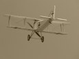 Halberstadt D.II