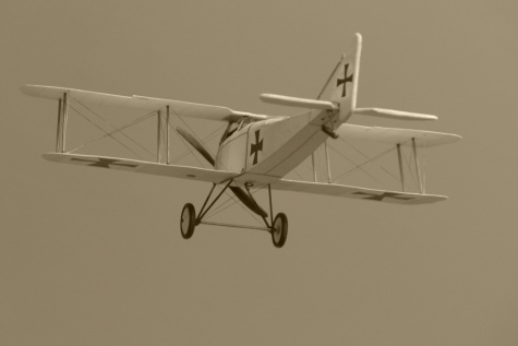 Halberstadt D.II