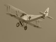Halberstadt D.II