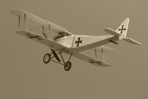 Halberstadt D.II