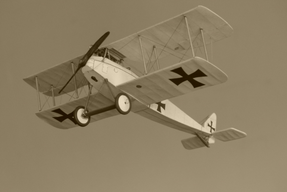 Halberstadt D.II (Plná velikost v novém okně) Halberstadt D.II