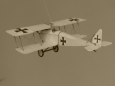 Halberstadt D.II