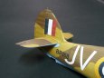 Hawker Hurricane Mk. IID
