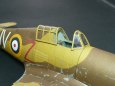 Hawker Hurricane Mk. IID