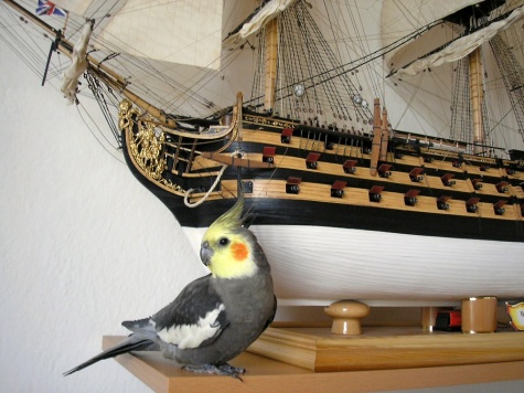 HMS VICTORY 1778 HMS VICTORY 1778