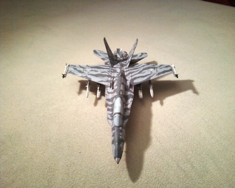 Hornet CF-18 Tiger Meet 1991