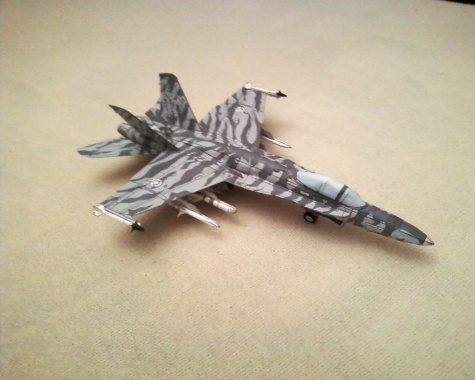 Hornet CF-18 Tiger Meet 1991