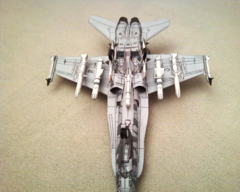 Hornet CF-18 Tiger Meet 1991