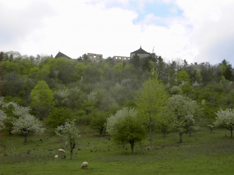HRAD  TO�N�K
