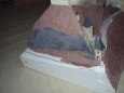 Hrad Karl�tejn