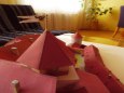 Hrad Pern�tejn