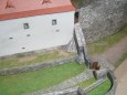 Hrad Svojanov