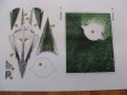 ICARUS - Planeta opic