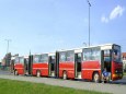 Ikarus 293