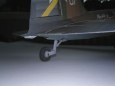 Il-2