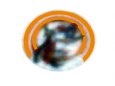 informativn� fotky pro DF PM.CZ