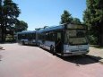 Irisbus Renault Agora L