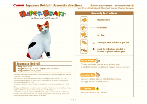 Japanese Bobtail Cat Japanese Bobtail Cat