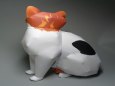 Japanese Bobtail Cat