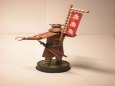 Japonsk� samuraj