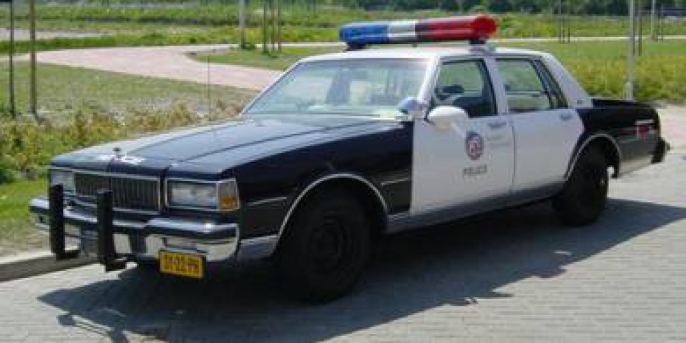 295062