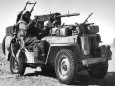 Jeep Willys �2
