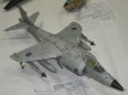 Jind�ich�v Hradec 2009