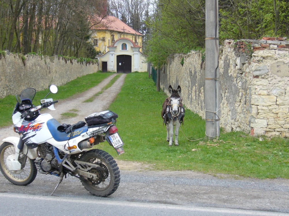 Jungheinrich