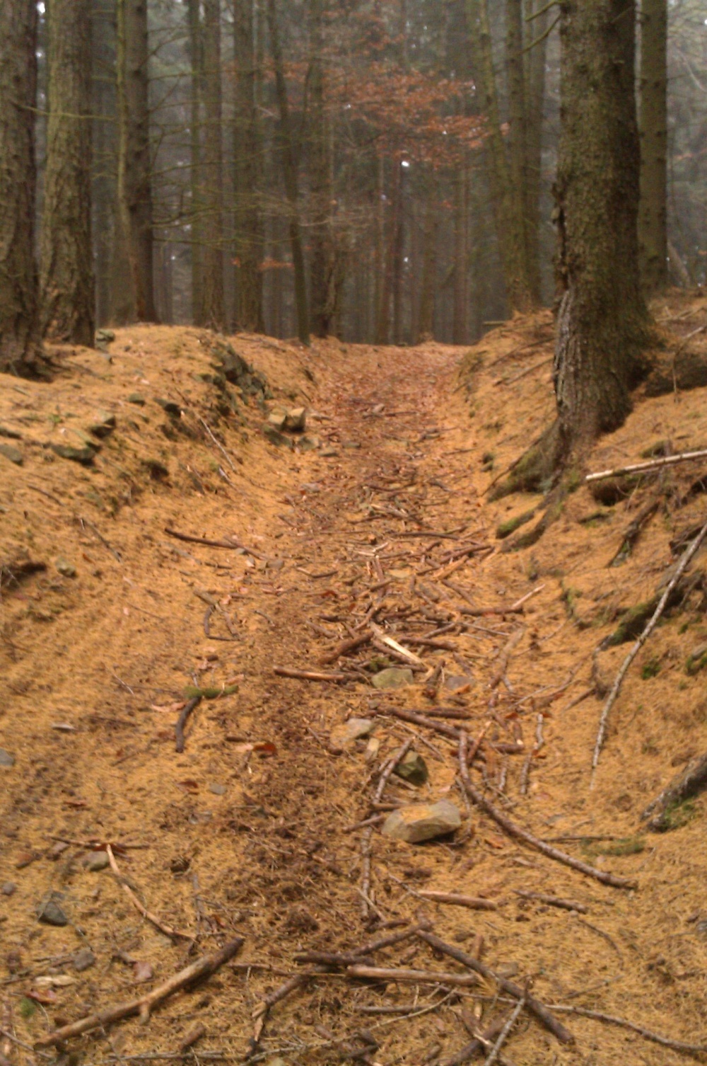 Jungheinrich (Plná velikost v novém okně) Jungheinrich