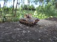 Kampfgruppe Heresch