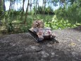 Kampfgruppe Heresch