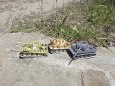 Kampfgruppe Heresch