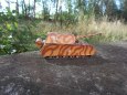 Kampfgruppe Heresch