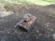 Kampfgruppe Heresch II.
