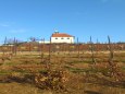 KAPLE SVAT� KL�RY