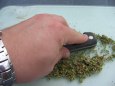 Ko�i�� hlavy