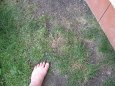 Ko�i�� hlavy