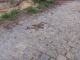 Ko�i�� hlavy