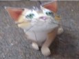 Ko�i�ky