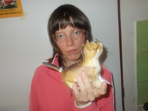 Kočičky Kočičky