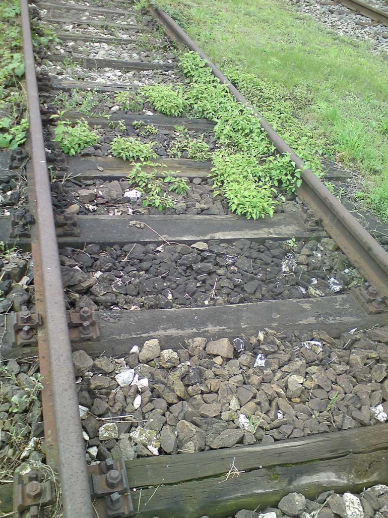 78896