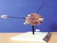 kosmick� a raketov� technika