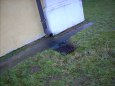 Kostel v�ech svat�ch - Milotice