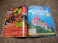 Koz� hr�dek u T�bora