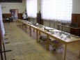 K�enovice 2008