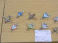 K�ENOVICE 2013