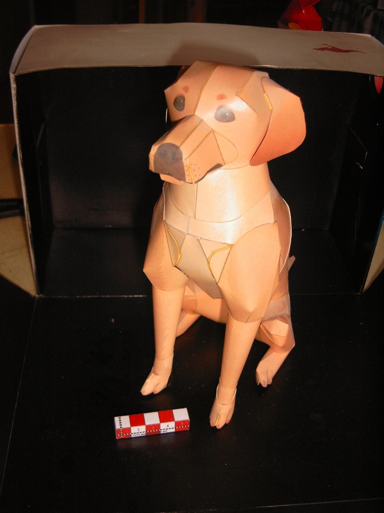 Labrador (Plná velikost v novém okně) Labrador