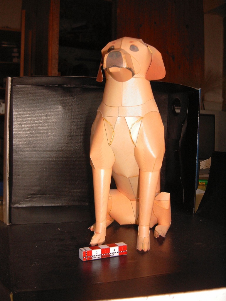 Labrador (Plná velikost v novém okně) Labrador