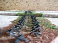 Lehk� objekt vz. 1937 184/65/A-180Z, M 1:120